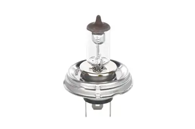 bosch-1987302021-far-ampuu