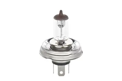 bosch-1987302021-far-ampuu