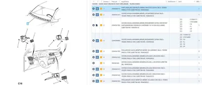 ithal-2209478-on-gogus-izgarasi-vecb