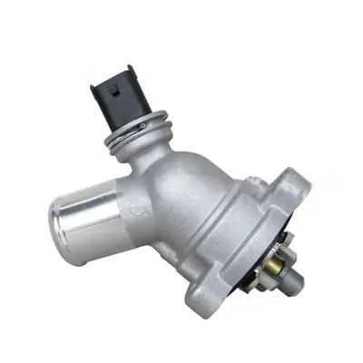 bsg-16-125-009-termostat