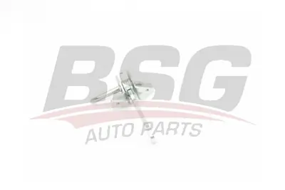 bsg-65-975-020-kapi-gergisi-on