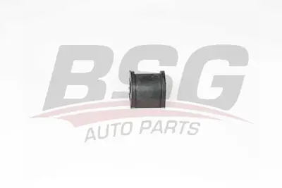 bsg-65-700-099-viraj-demir-lastigi-arka