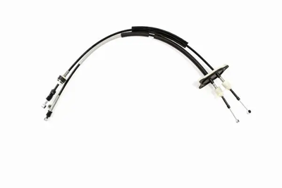 turtel-502-22017-vites-teli