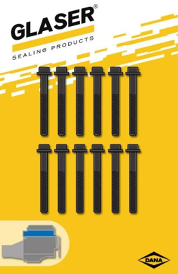 glaser-t08130-00-silindir-kapak-saplamasi-set