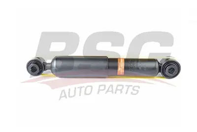 bsg-70-300-012-amortisor-arka