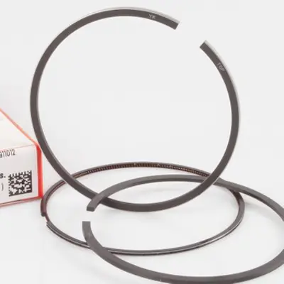 federal-06-30760700-segman