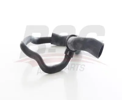 bsg-65-700-446-radyator-hortumu-alt