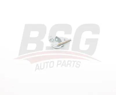 bsg-65-720-258-egr-dirsek-borusu