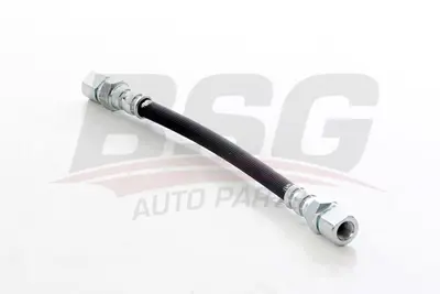 bsg-16-730-009-fren-hortumu-on