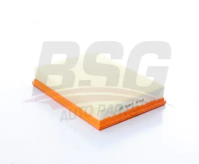 bsg-65-135-034-hava-filtresi