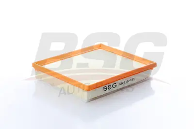 bsg-65-135-039-hava-filtresi