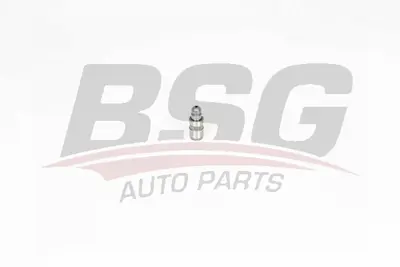 bsg-15-122-019-supap-itici-tusu