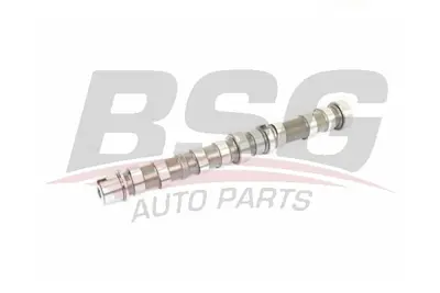 bsg-25-108-002-eksantrik-mili