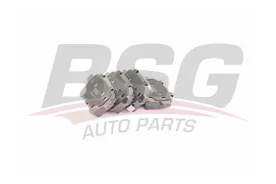 bsg-25-200-020-fren-balatasi-arka