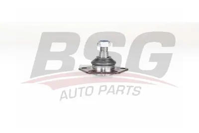 bsg-25-310-030-rotil-alt