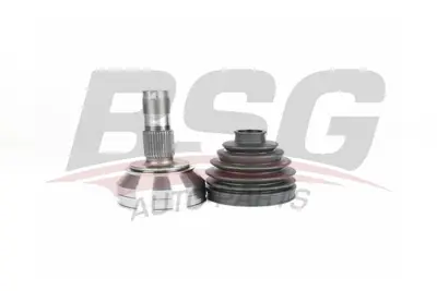 bsg-25-340-001-aks-kafasi-dis