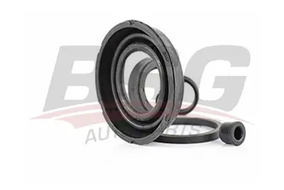 bsg-30-251-015-kaliper-piston-tamir-takimi-arka