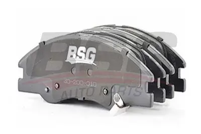 bsg-40-200-010-fren-balatasi-on