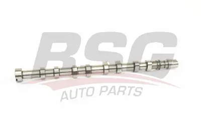 bsg-75-108-004-eksantrik-mili