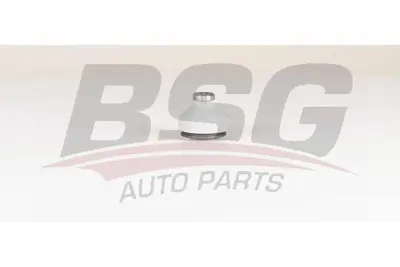 bsg-75-310-041-rotil-alt