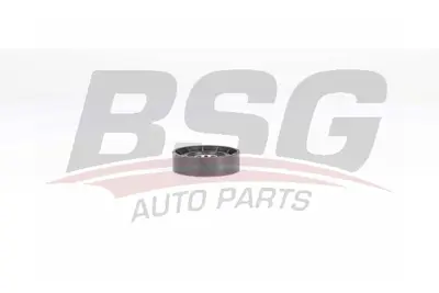 bsg-75-615-009-v-kayis-gergi-rulmani