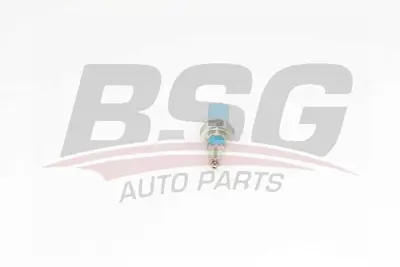 bsg-75-840-007-geri-vites-musuru