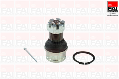 fag-825-0089-10-rotil
