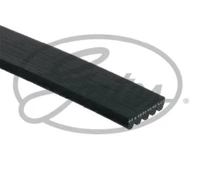 gates-5pk1815-v-kayisi