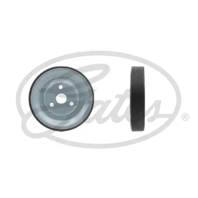 gates-t36831-devirdaim-kasnagi