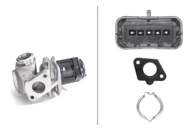 hella-6nu-010-171-111-egr-valfi