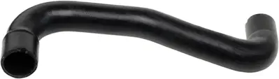 rapro-r12371-radyator-hortumu-alt