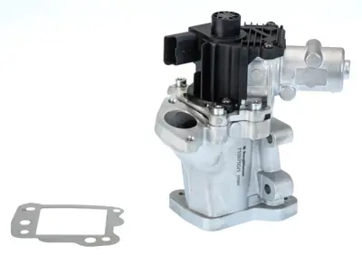 wahler-710975d1-egr-valfi