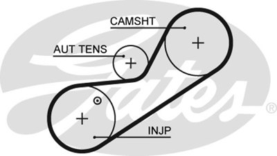 gates-5546xs-triger-kayisi