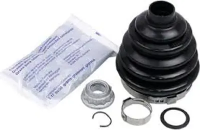 gkn-302959-aks-korugu-dis