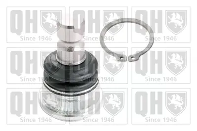 ctr-cb0226-rotil-alt