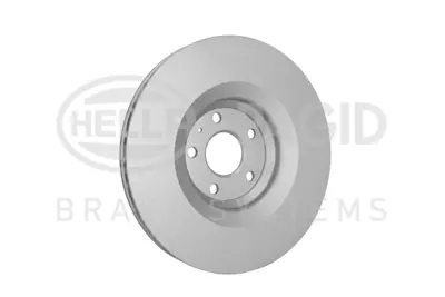 bsg-11-210-001-fren-diski-on