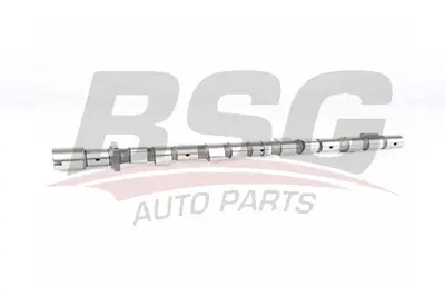 bsg-15-108-001-eksantrik-mili