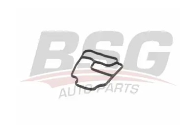 bsg-15-116-008-yag-filtre-hazne-contasi