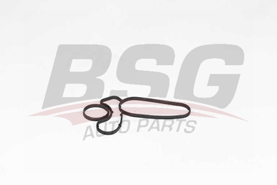 bsg-15-116-021-yag-radyator-contasi