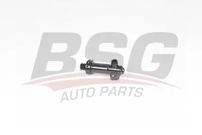 bsg-15-125-003-termostat
