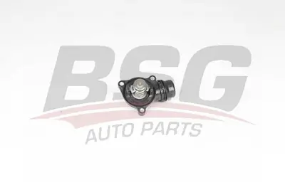 bsg-15-126-018-termostat