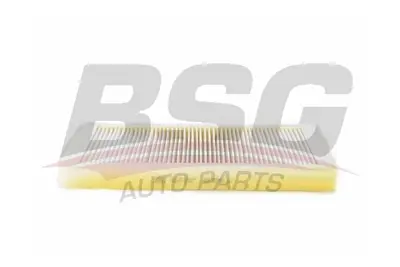 bsg-15-145-016-polen-filtresi