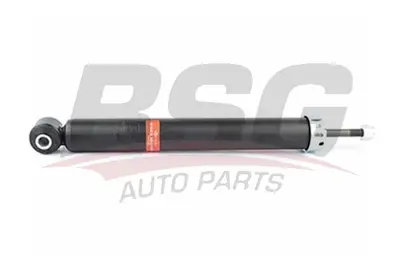 bsg-15-300-002-amortisor-arka