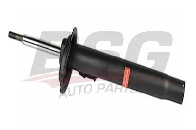 bsg-15-300-012-amortisor-on-sag
