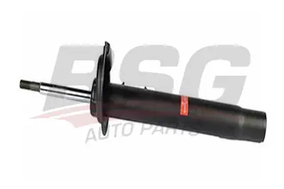 bsg-15-300-013-amortisor-on-sol