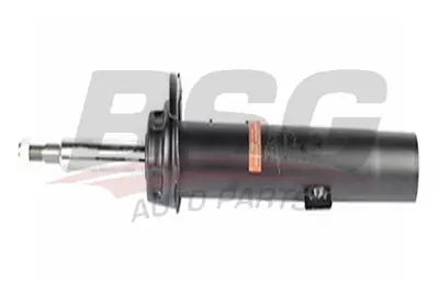 bsg-15-300-016-amortisor-on-sol