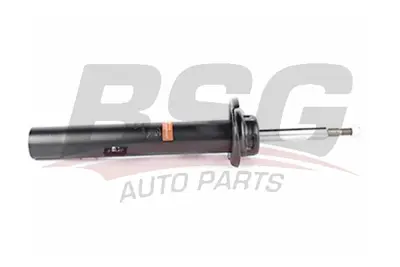 bsg-15-300-017-amortisor-on-sag