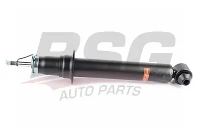 bsg-15-300-038-amortisor-arka