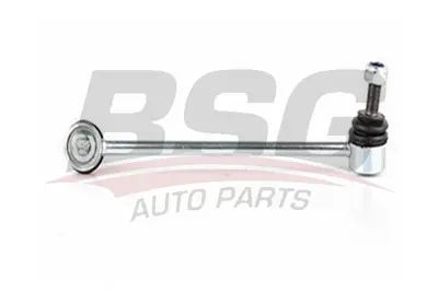 bsg-15-310-079-viraj-aski-rotu-on-sag