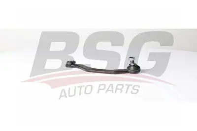 bsg-15-310-169-rot-basi-sol